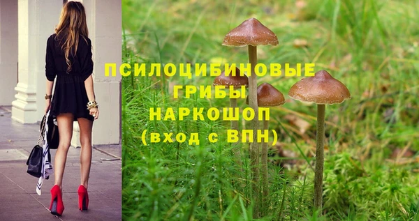 спиды Верхний Тагил