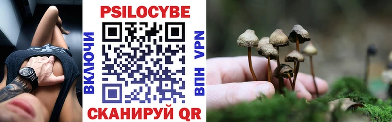 hydra вход  площадка официальный сайт  Галлюциногенные грибы мухоморы  Новосокольники 